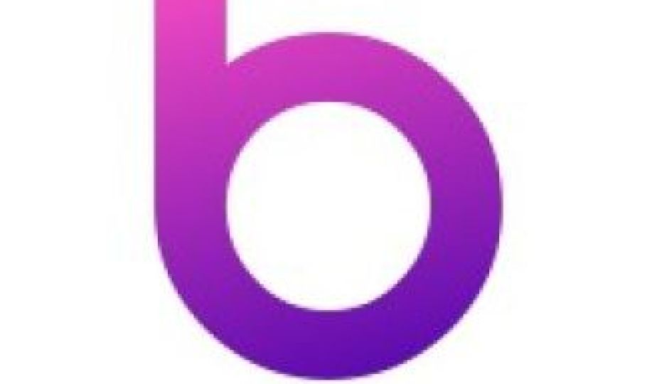 Introduction to Bridgit Care Webinar Event