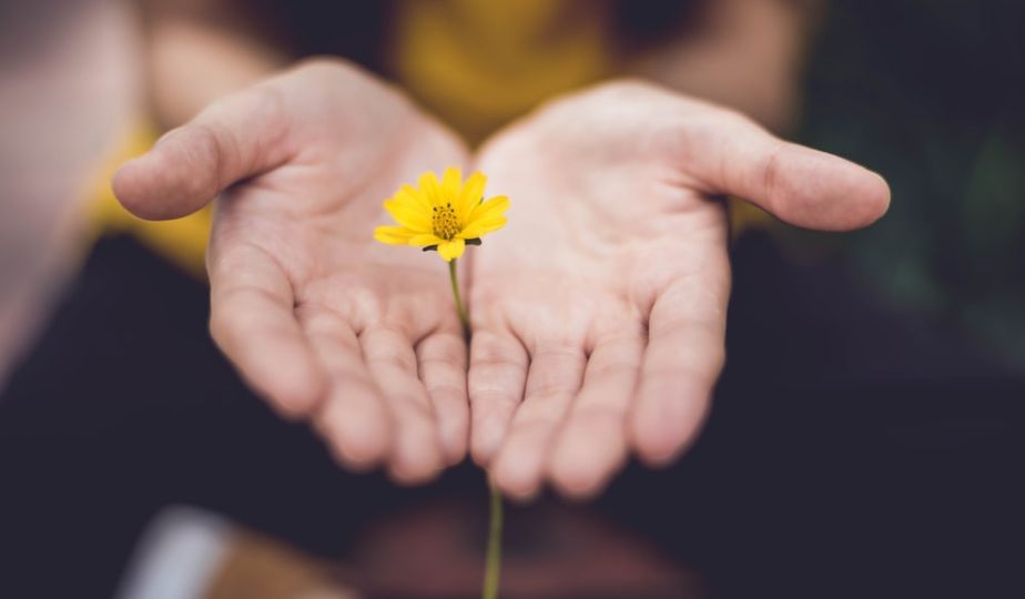 Community Living Well Health and Wellbeing Talks Event