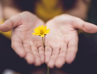 Community Living Well Health and Wellbeing Talks Thumb